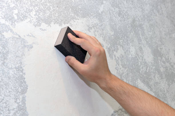 Mold Documentation for Insurance Claims in Mccall, ID