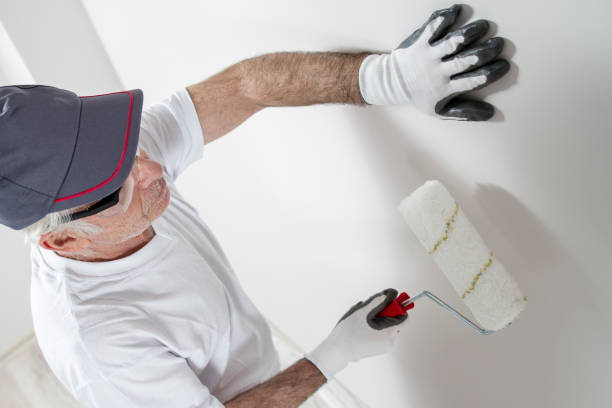 Trusted Mccall, ID Mold Removal Experts