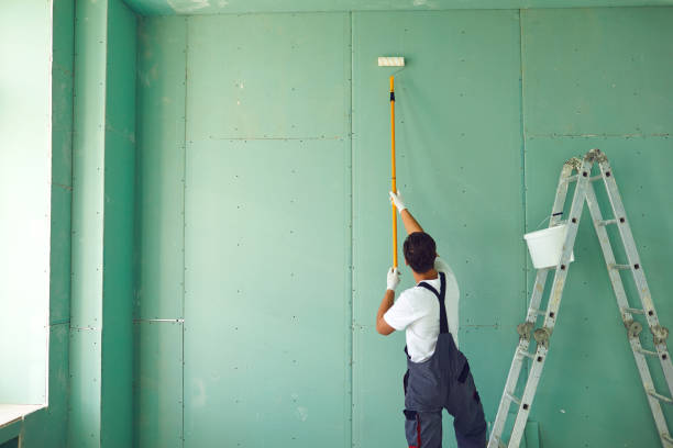 Best Basement Mold Removal  in Mccall, ID