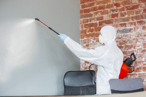 Best Crawl Space Mold Remediation  in Mccall, ID