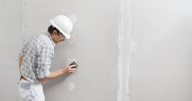 Environmental Consulting for Mold Prevention in Mccall, ID