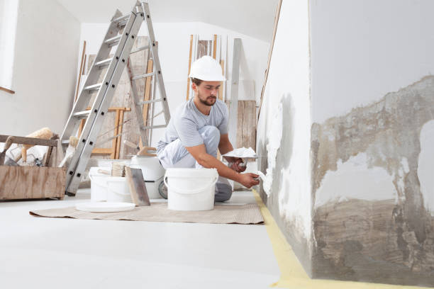 Best HVAC Mold Inspection and Cleaning  in Mccall, ID