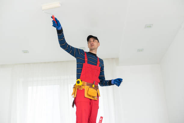 Best Mold Documentation for Insurance Claims  in Mccall, ID