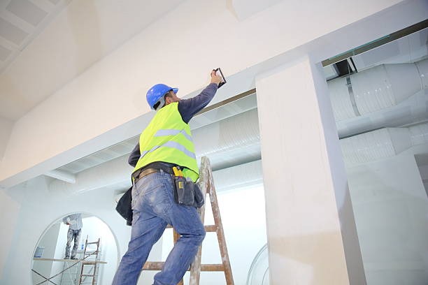 Best Mold Removal for HVAC Installations  in Mccall, ID